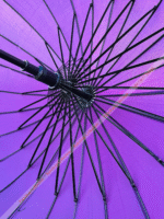 (Purple) ২৪ শিকের প্রিমিয়াম ছাতা - Image 5