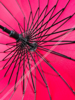 (Merun) ২৪ শিকের প্রিমিয়াম ছাতা - Image 4