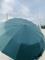 (Olive) BMW Premium Umbrella 16 Ribs- Spot Handle - Image 6