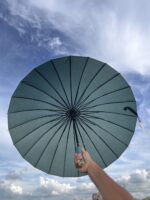 (Olive) ২৪ শিকের প্রিমিয়াম ছাতা