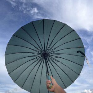 (Olive) ২৪ শিকের প্রিমিয়াম ছাতা